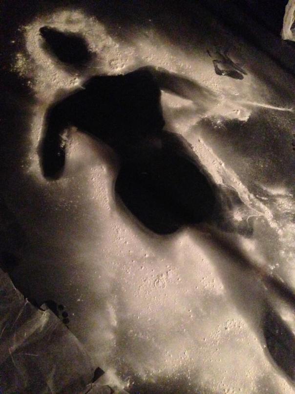 11141770_1591385061112098_1870131613740938766_o