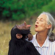 Jane Goodall - with a monkey