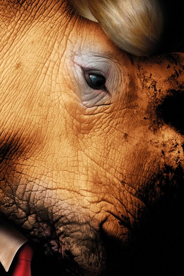 Rhinoceros © Christophe Cotichelli (photography), adapted by Edinburgh International Festival.jpg