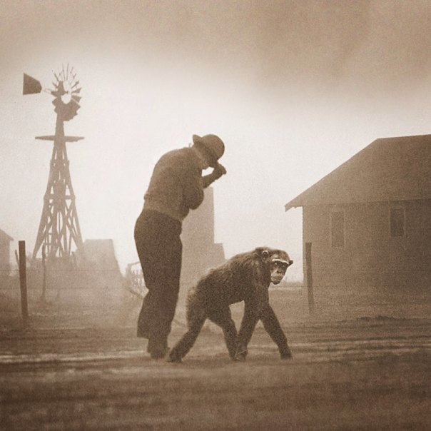 Goody - courtesy of Paul Hancock.jpg