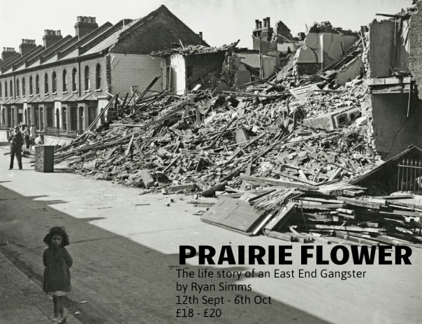 Prairie Flower Flyer.jpg