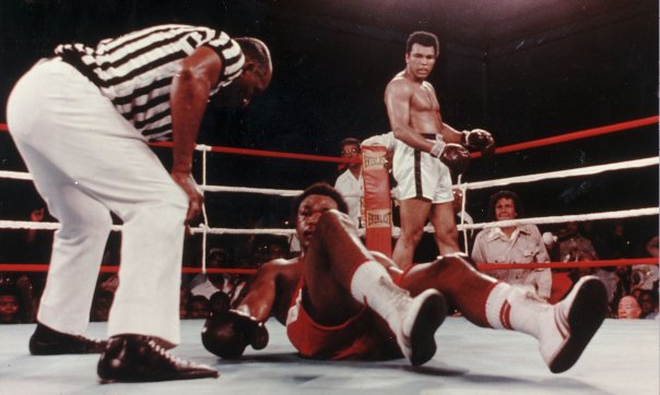 00192AEA00000258-0-image-a-20_1465019294051